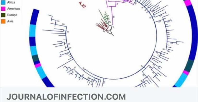 Vai trò của giải mã nhanh trình tự toàn bộ bộ gen virus (Rapid whole-genome sequencing) trong đáp ứng phòng chống dịch COVID-19 tại Vietnam