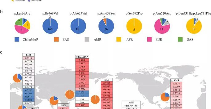 Tại sao các biến thể coronavirus mới 'đột nhiên xuất hiện' ở Anh và Nam Phi